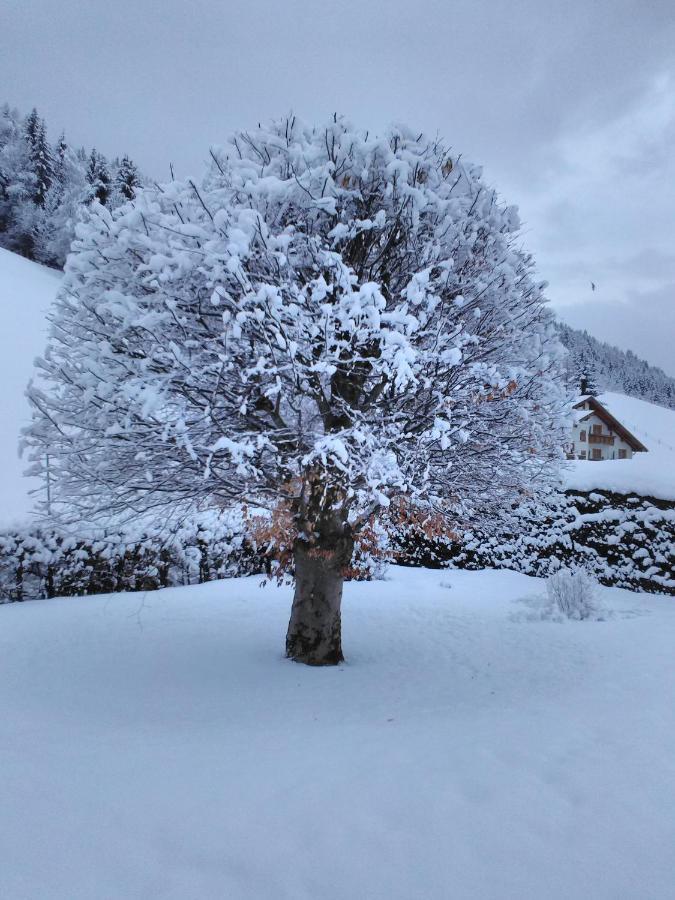 Haus Kieler Apartment ชลัดมิง ภายนอก รูปภาพ